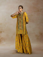 Raiza Ikat Bandhini Peplum Sharara Set